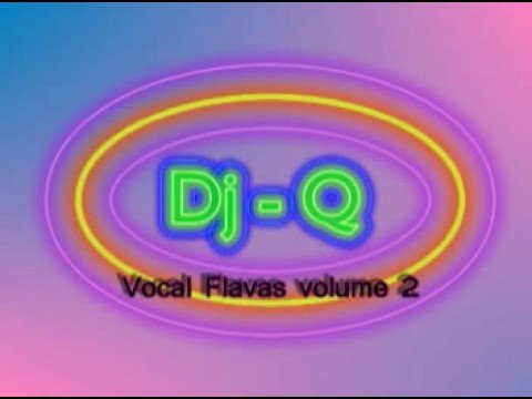 Dj Q - track 16(vocal flavas volume 2) october 2008