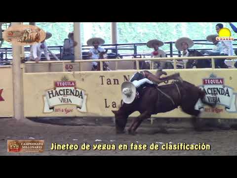 #BoletinCharroTv Disfruta estas extraordinarias yeguas de reparo