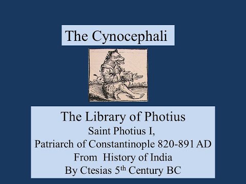 The Cynocephali by Ctesias 5th Century BC Library of Photius