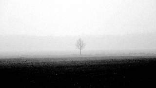 Sardoniscorn - Dissolving Consciousness