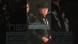Tus dos Vestidos - Los Tigres del Norte #musicaparamifiesta #rancheras #musica #shorts