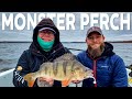 Fishing For Big Perch With Soft Lures | Westin Fishing
