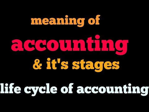 What is Accounting Video