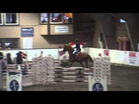 Florus, 2010 (Arezzo VDL x Iroko) - Norwegian Championships