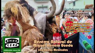 Miniatura de YouTube para: Las Carantoñas de Acehúche (Cáceres)