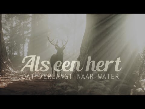 Als een hert dat verlangt naar water - Opwekking 281