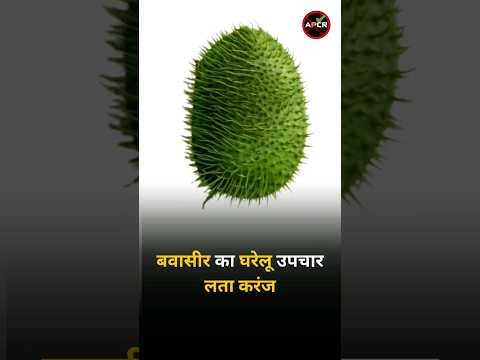 Treatment of Piles with Natural and Home Remedies : Lata Karanj #homeremedies #homeremediesforyou