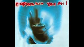 embarrassed, You Am I