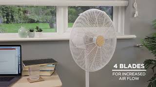 Carousel navigation image position 8 of 8