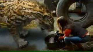 Quelques passages de l'�pisode en musique