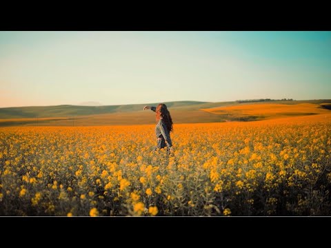 Silvio Piseddu "Lebensglück"℗ Keiner will alleine sein, ein Lied über die Sehnsucht nach Normalität!