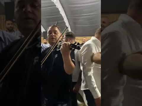 Aca Cergar & Dragan Gurbet & Kazanova