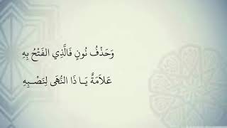 صورة شرح نظم الآجرومية مع التشجير //25-26//الشيخ محمد محمود الشنقيطي