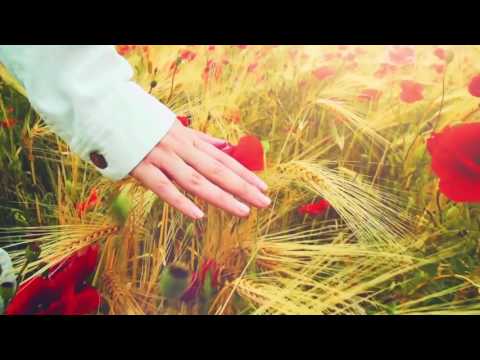 Io Vincero - Nicoleta Roman & Marius Dragomir