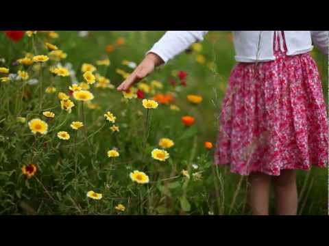 Venray bloeit (korte versie)