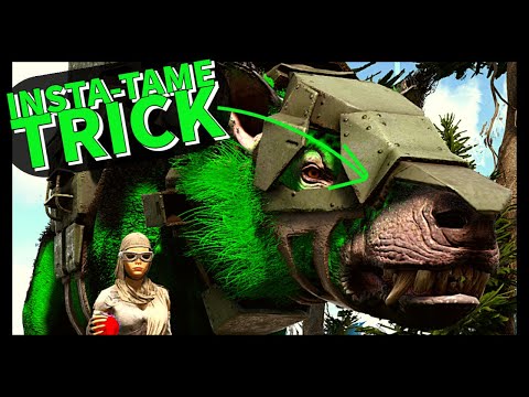 ANDREWSARCHUS Insta-Tame Trick! HOW TO TAME IT WITHOUT BREAKS!!!
