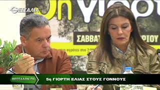 Θεσσαλών Γη - Γιορτή Ελιάς 27 11 2017