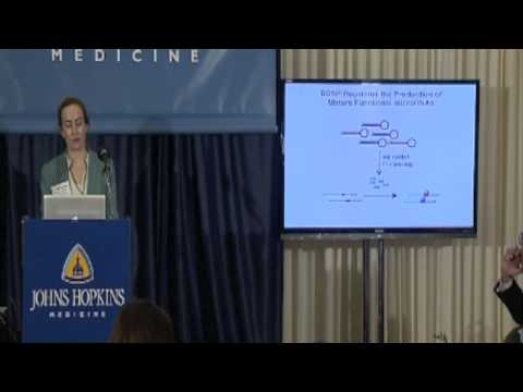 Brainiacs: Building Brain Cell Connections