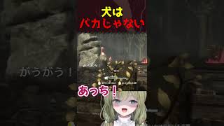 【DBD】犬とみかみ茉姫　#shorts  #dbd #vtuber
