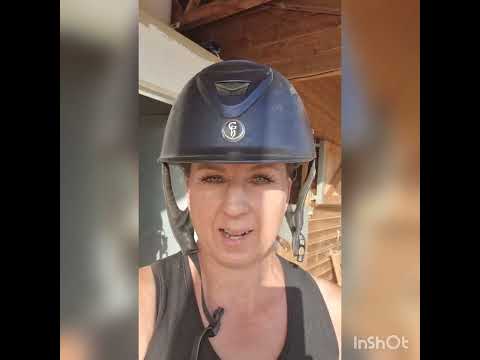 Training my Spanish horses ~ with dressage rider Dominique Parsons-  O’Sullivan 🇪🇦🇬🇧