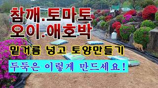 [텃밭농부 2,219]  참깨 .토마토. 오이. 애호박 밭에 밑거름 넣고 두둑 만들기! #참깨재배 #오이재배…