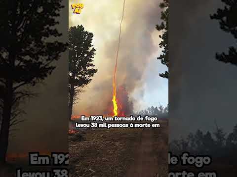 Por aí  and Por Aí Shorts