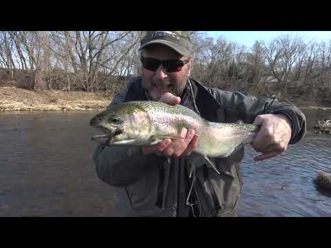 Spring on the Creeks