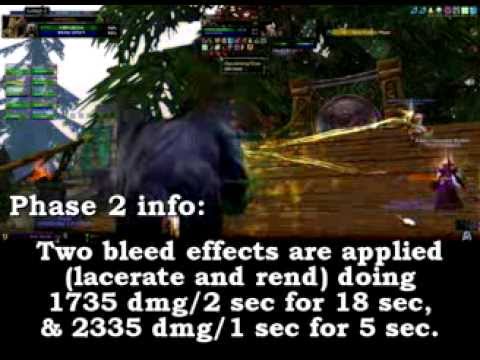 How To Zul'aman Nalorakk - Bear ZA