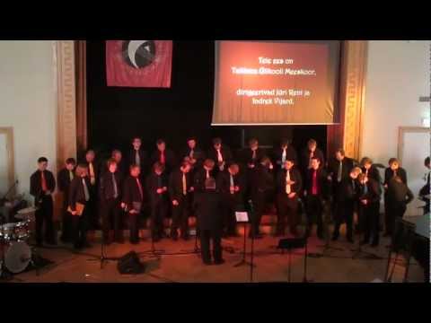 Tallinna Ülikooli Meeskoori Kevadkontsert 2011 1/3