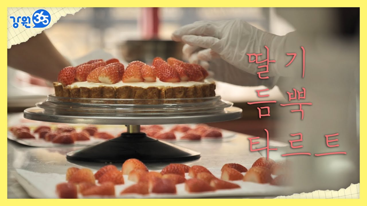 [강원365]소상공인 감성 브이로그 '소상한 일기' 딸기 타르트 가게 러블리 숑숑