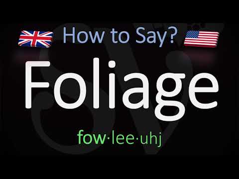 How to Pronounce Foliage? (CORRECTLY) Meaning & Pronunciation