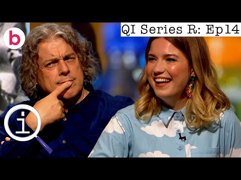 QI Series R Full Episode 14: Rogue | With Bill Bailey, Jack Carroll and Olga Cock