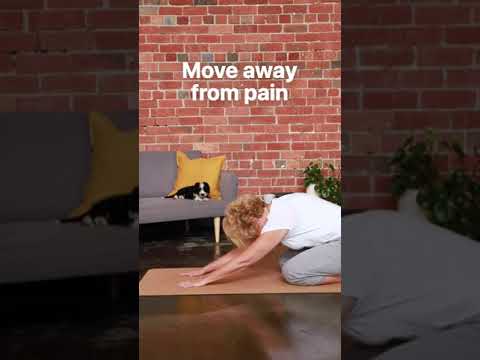 BodyGuide video/presentation/materials