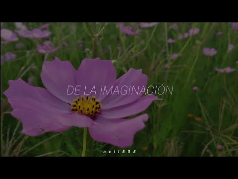 YoSoyMatt - La Niña del Volcán (Polocorp Remix) (Lyrics) (Sub Español)