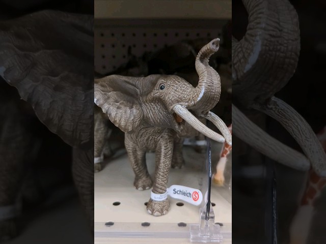 Vídeo relacionado con Schleich Wild Life | León rugiente 14726 | Figura de Animal con Gran realismo | Regalo para niñas y niños | decoración para cumpleaños | Figura a Partir de 3 años | 11 x 5 x 7 cm