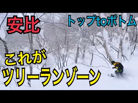 【安比高原▶︎ツリーランゾーン「ドラゴンテイル」】安比がSKIDAY初登場！東北エリアを代表するビッグゲレンデAPPIは、その極上の雪質も特筆モノ。５つの非圧雪エリアを開放している