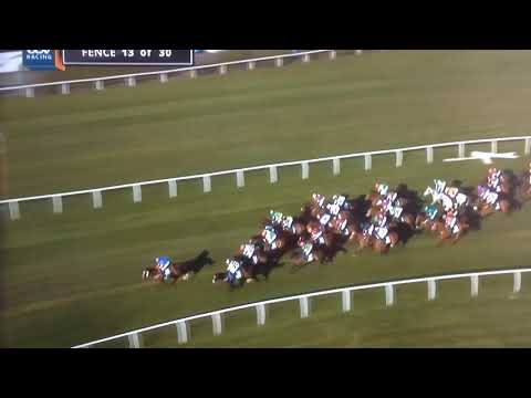 Grand national 2019 tiger roll. Amazing win