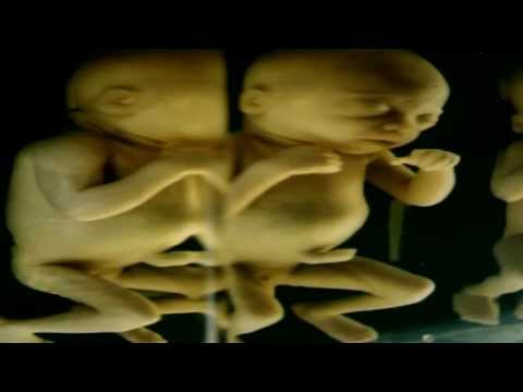 ตัวอย่าง ตัวกู-ของกู