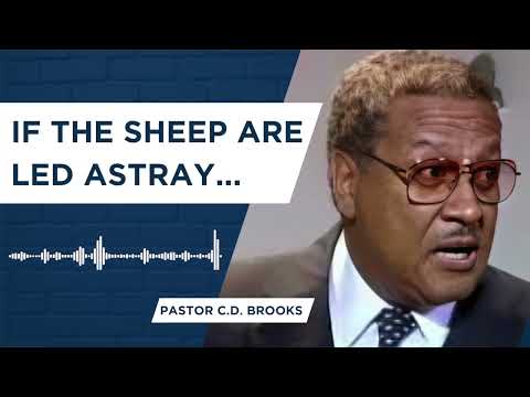 If The Sheep Are Led Astray... | Pastor  C D  Brooks