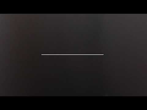 Zukko z Berounské bašty (Fantom ze Stříbrného kamene x Dara z Berounské bašty) 3 months old