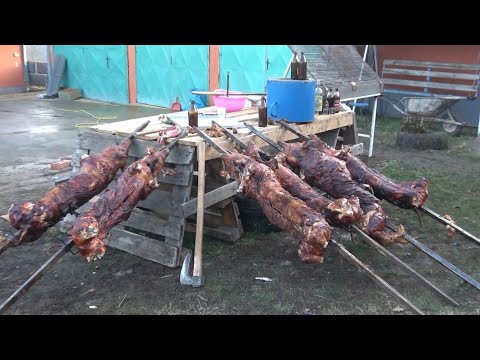 Pripreme za  Acino punoletstvo Svileuva 06 12 2019