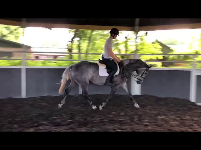 Under the saddle