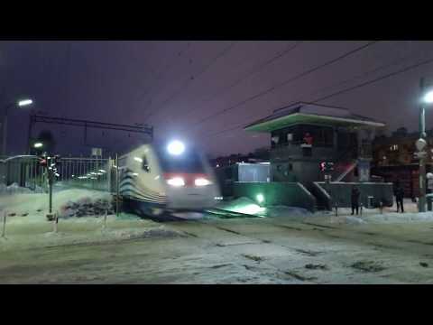 Allegro high speed train passing by Udelnaya station