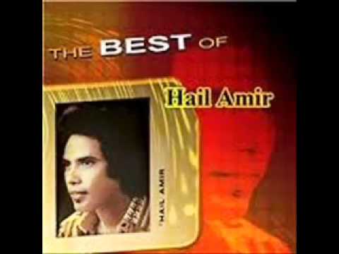 HAIL AMIR : WAJAH KESAYANGAN HAMBA