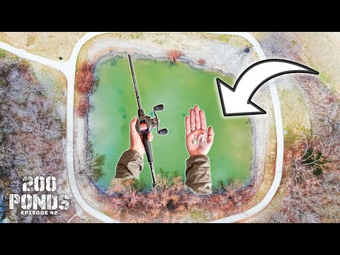 Fishing A TINY Pond With TINY Lures! ("200 Ponds" Ep. 42)