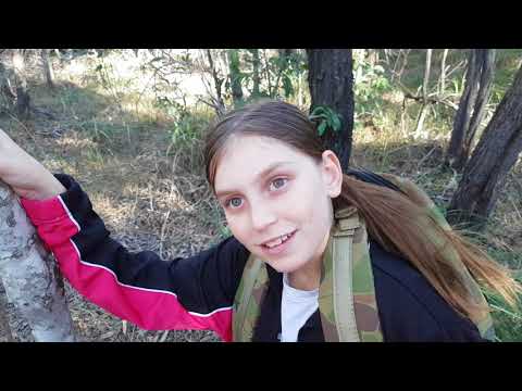 download lagu mp3 mp4 Australian Bush Honey, download lagu Australian Bush Honey gratis, unduh video klip Australian Bush Honey