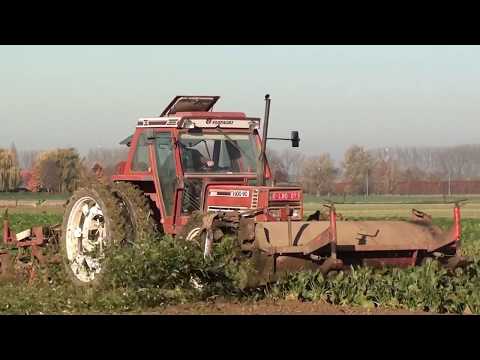 Landb. Taelman - Pecq - Fiatagri 100-90 - Dewulf R6000