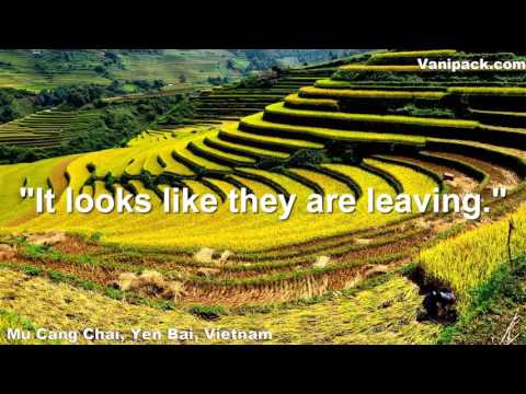 It looks like Subject or Noun