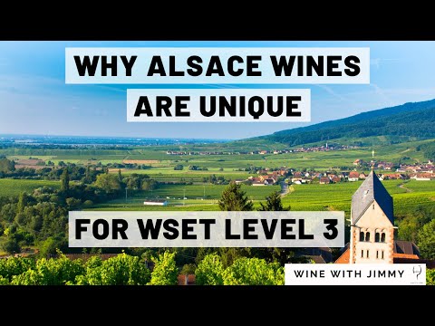 Alsace Wine Region Explained | WSET Level 3 | Climate, Geography & Grape Growing