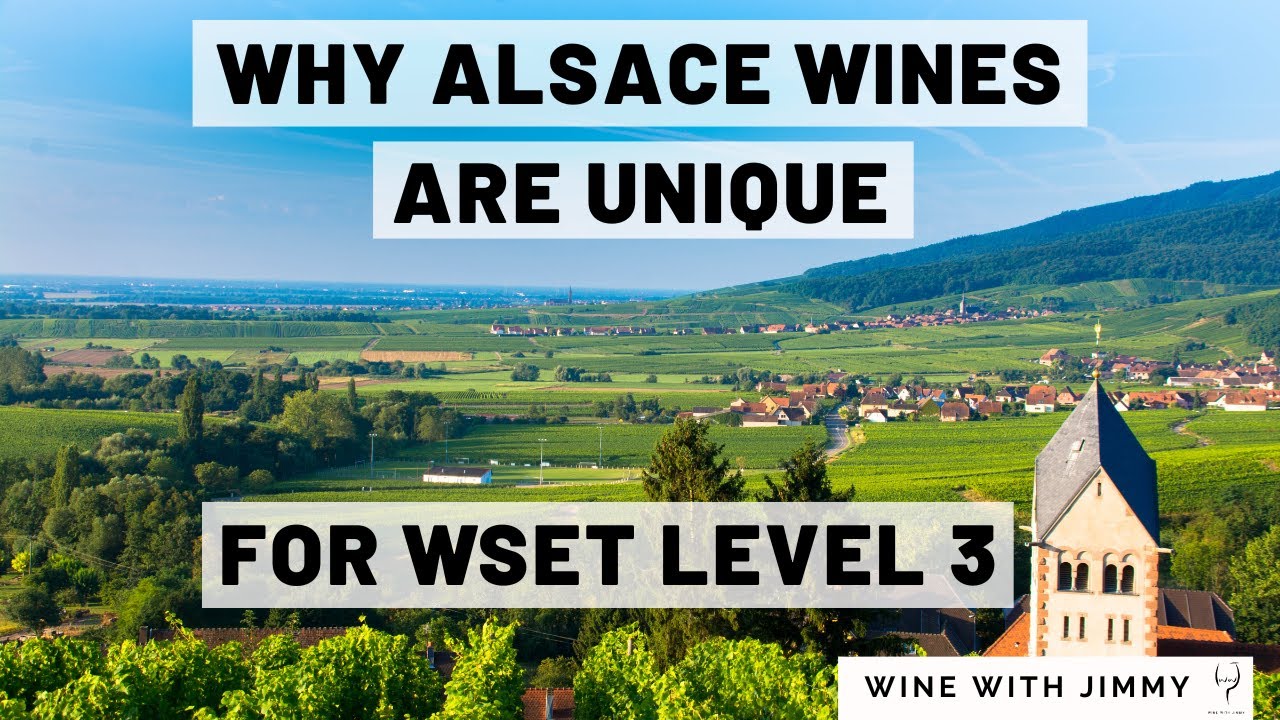 Alsace Wine Region Explained | WSET Level 3 | Climate, Geography & Grape Growing